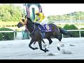 【佐賀競馬】第9回 佐賀王冠賞(2026.6.7)