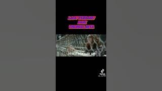 Thomas Arya Channel || Kerinduan Berujung Luka || short