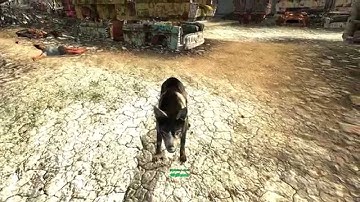 Fallout New Vegas Mod: Change Dogmeat