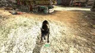 Fallout New Vegas Mod: Change Dogmeat's name