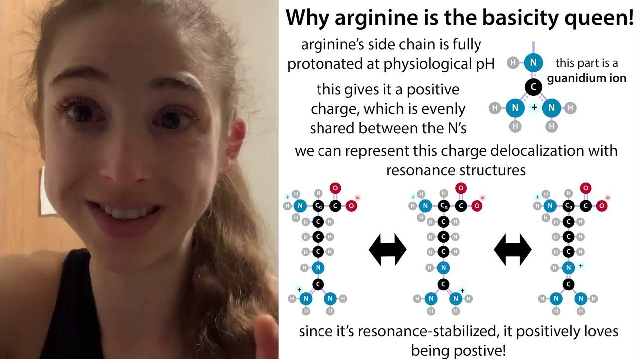 “Basic amino acids” protonation of Arg, Lys, & Arg and why arginine