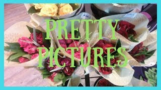 Cancer Update and Pretty Pictures