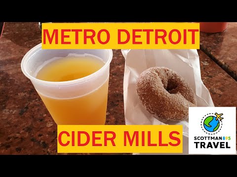 Video: Metro Detroit Çimərlikləri və Parkları