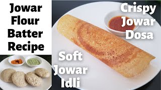 Jowar Idli, Dosa | Jowar Flour Batter Recipe | No Rice | Diabetes & Weight Loss | Culinary Aromas