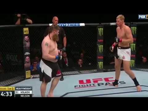 Alexander Volkov vs Roy Nelson fight footage