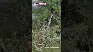 Near-100 Mph Winds Leave Trail Of Destruction In Ohio