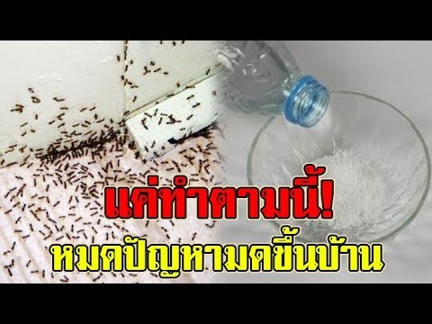 โซฟา ยี่ห้อ ไหน ดี pantip  Update New  หากบ้านใครมี \