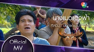 นางแมวแอ่วฟ้า Ost.นายฮ้อยทมิฬ | ปอยฝ้าย มาลัยพร [Official MV]