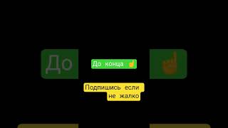 29 сентября 2025 г.