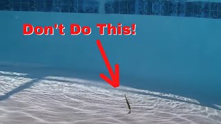 Biggest Saltwater Rig Mistake For Artificial Lures (This SPOOKS Fish!) screenshot 3