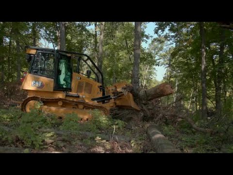 Cat® D4 Dozer Equipped for Forest Maintenance