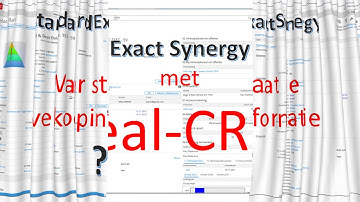 Meer omzet? Exact Synergy met Real-CRM secties op de relatiekaart.