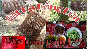 Đặt Lợp Bắt Cá Bống Dừa và cái kết Bất Ngờ || Cuộc Sống Miền Tây Dân Dã  || Tấn Thanh grab