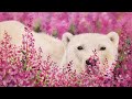 Polar Bear in Flowers Acrylic Painting LIVE Tutorial