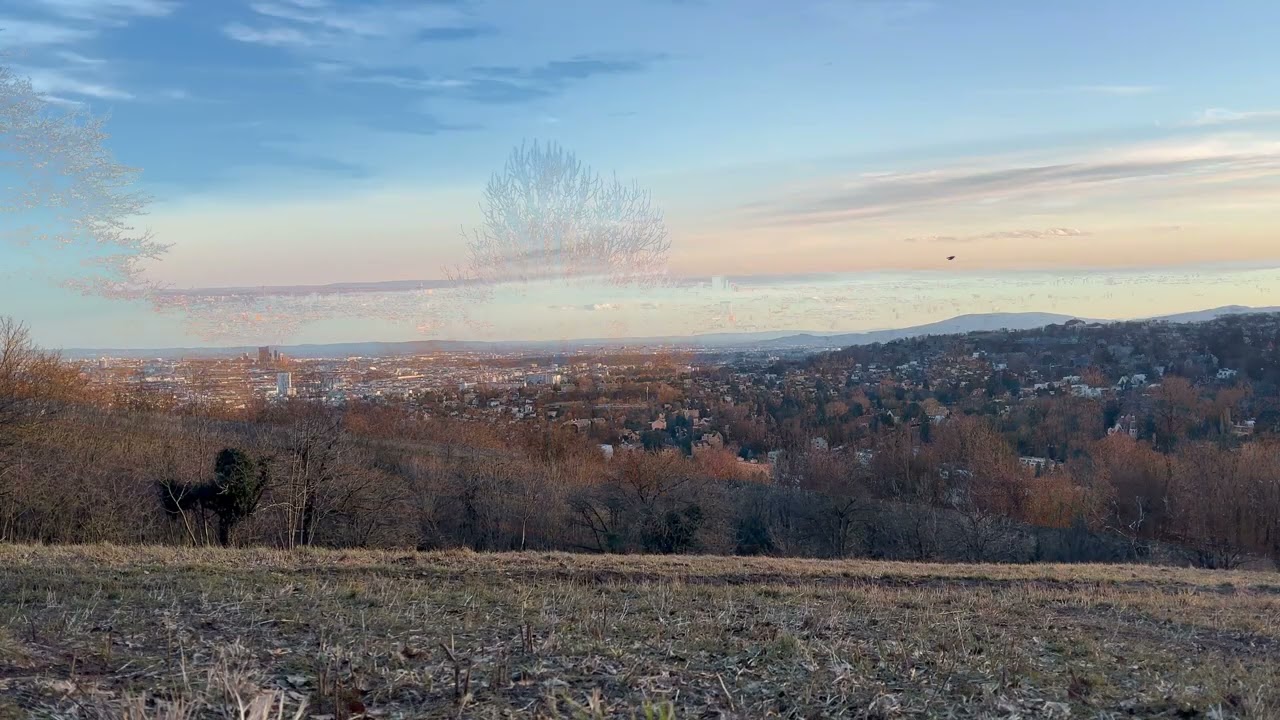 4K VIENNA NIGHT SKYLINE 🌃 2 Hours Peaceful City View for Study, Sleep & Relaxation [ASMR]