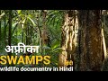 The eternal swamps     africa wildlife documentry in hindi