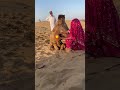 فتاة تواسي جملاً بوضع جسم يشبه البالون على ظهره
