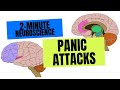 Neurosciences En 2 Minutes Crises De Panique mp3