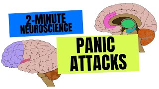 2-Minute Neuroscience Panic Attacks