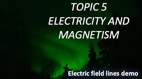 electric field lines demo with semolina and castor oil