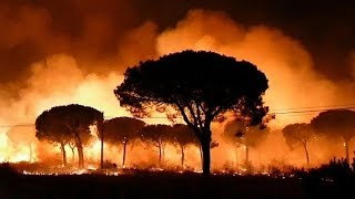 Испания: редкие животные в зоне огня