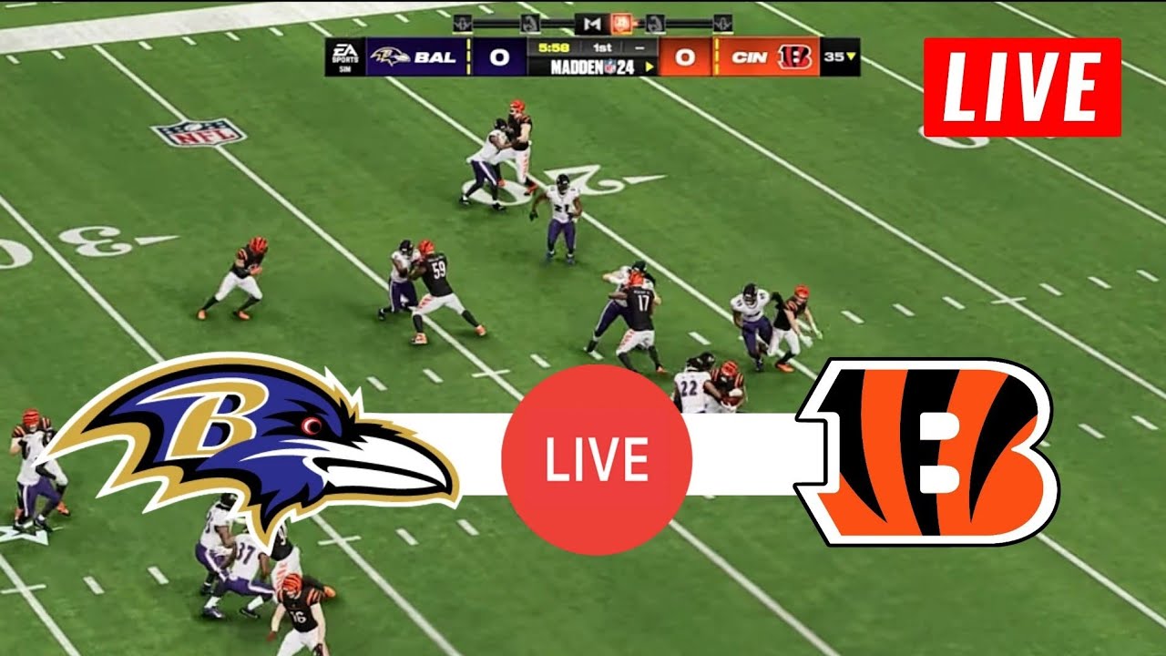 NFL LIVE🔴 Cincinnati Bengals vs Baltimore Ravens Week 11 NFL Full NFL LIVE🔴 Cincinnati Bengals vs Baltimore Ravens Week 11 NFL Full