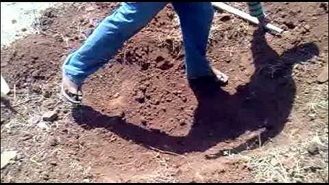 Soil Investigation : Test pit