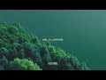 Назарій Яремчук Гай зелений гай EDM Deep House Remix MAD Remix