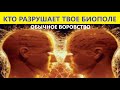 ЭТО ВАЖНО! КТО КРАДЕТ ВАШУ ЭНЕРГИЮ ЖИЗНИ?Вивиена ясновидящая