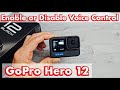 GoPro Hero 12: Enable or Disable Voice Control Commands