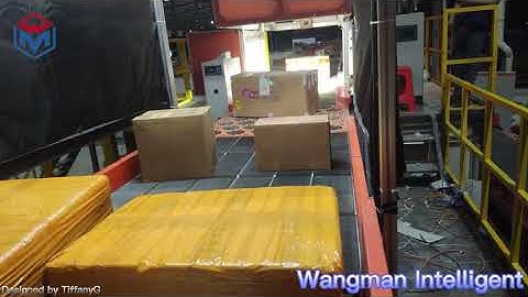 Singulator/Singulation Conveyor Working Performance