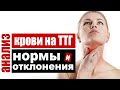 Анализ крови на ТТГ – тиреотропный гормон гипофиза, нормы и причины отклонений