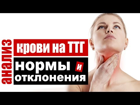 Анализ крови на ТТГ – тиреотропный гормон гипофиза, нормы и причины отклонений