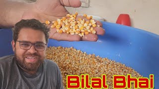 Farm Wale Makka Kyu Khilate Hai | Akha Makka VS Tukhda Makka | Feed Guru Bilal Bhai.