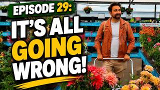 ONE WEEK UNTIL MY SHOW GARDEN IS DUE | Today in the Garden | Episode Twenty Nine
