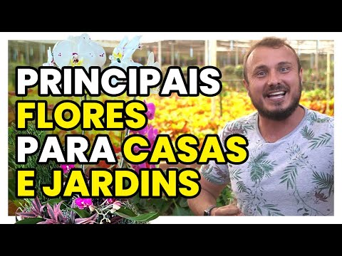 Vídeo: Dicas de planejamento de jardim de flores - Como planejar um jardim de flores para a próxima temporada
