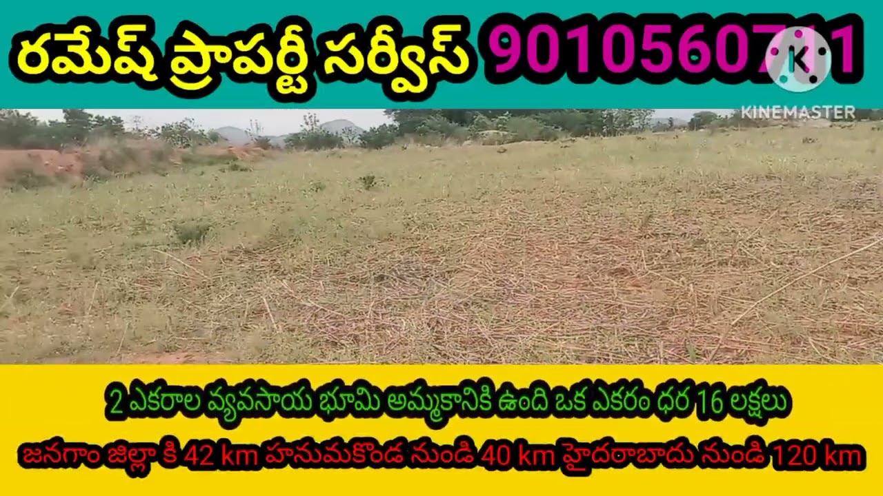 రెండు ఎకరాల వ్యవసాయ భూమి అమ్మకానికి ఉంది ఒక ఎకరం ధర 16 లక్షలు హనుమకొండ నుండి 42 km జనగాం నుండి 40 km