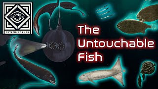 5 Fish That Were Only Seen Once