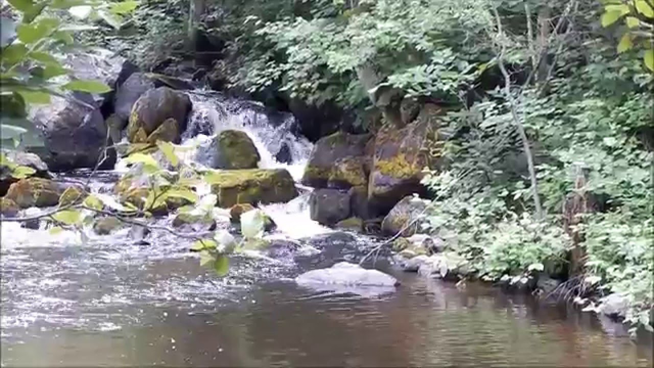 Fishing in the Upper Peninsula of Michigan | Jason Asselin - YouTube