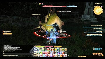 FFXIV ARR - Treasure Hunt