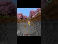 Minecraft chase #minecraft