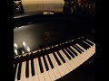 Beer Barrel Polka 01261 played by Liberace