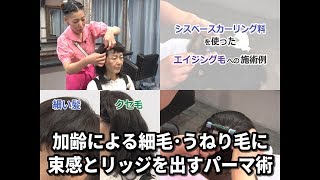 Bjhab 加齢による細毛 うねり毛に束感とリッジを出すパーマ術 シス系カーリング料 ファッソ 施術例 Youtube Bjhab 加齢による細毛 うねり毛に束感とリッジを出すパーマ術 シス系カーリング料 ファッソ 施術例 Youtube