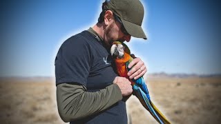Why My Husband's Macaw Likes Him More | Tusa Q&A
