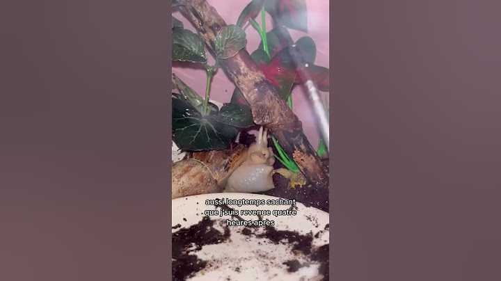 Poire, mon escargot géant me fait peur 🐌😂