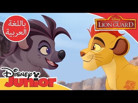 قيادة الأسد الحارس أغنية Sisi Ne Sawa