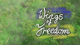 (TF Video) Wings of Freedom