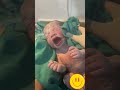 newborn #baby #fblifestyle #cutebaby