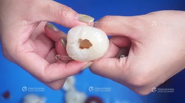 Fresh Lychee Core Remover Coring Machine Litchi Pitting Machine