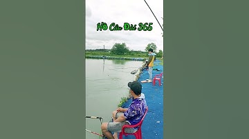 Short | Câu Cá | Hồ Câu Đài 365